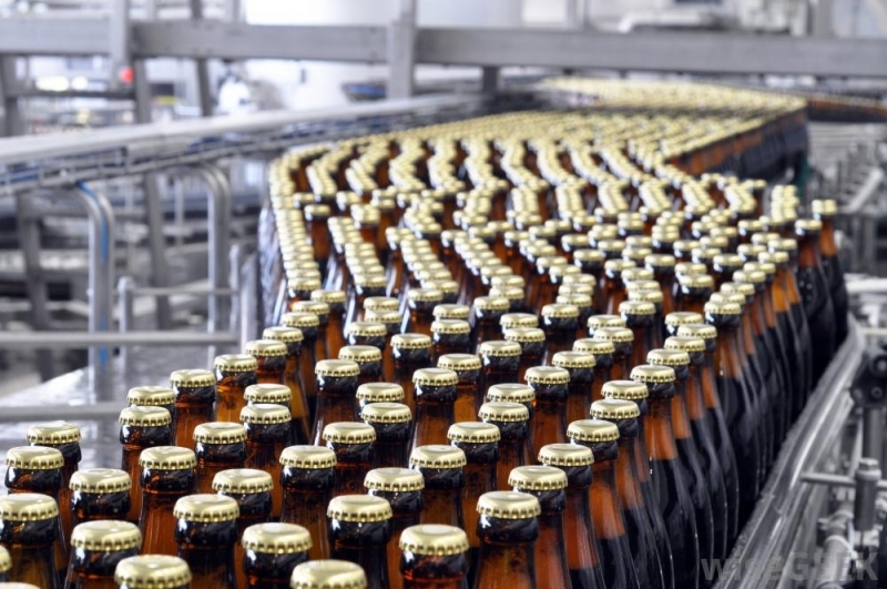 bottles-on-assembly-line